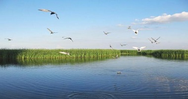 垃圾分类，分出新市场——广东国际水展助力开拓新蓝海