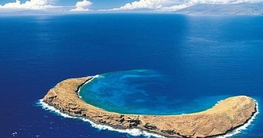 中国水处理药剂市场现状与发展前景分析环保要求趋严推动行业发展