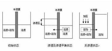 ro膜是什么？为什么说它是净水器的灵魂？