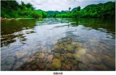 芬顿氧化一絮凝沉淀处理焦化废水应用研究