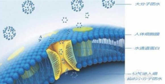 什么是小分子水 纳米小分子水净水机