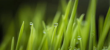 次氯酸钠去除氨氮 加药量多少效果比较好？