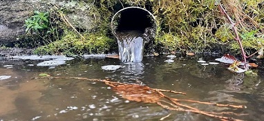 击破黑臭水体！福州市印发进一步推进入海排污口分类整治实施方案
